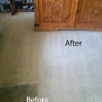Bedroom-Carpet-Cleaning-Milpitas