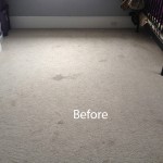 Bedroom-Wall-to-Wall-Carpet-Cleaning-Milpitas-A