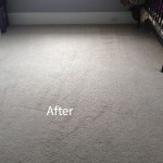 Bedroom-Wall-to-Wall-Carpet-Cleaning-Milpitas-B