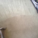Carpet-Cleaning-Milpitas