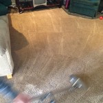 Dirty-Carpet-Cleaned-Milpitas