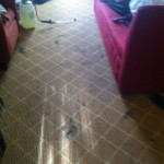 Milpitas-Carpet-Clean-before