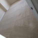 Milpitas-Carpet-Clean-room