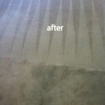 Milpitas-Carpet-Cleaning-Carpet-Cleaning